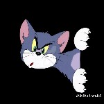 user3152844