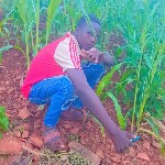 Zakari Bamogo