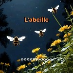 user3586681