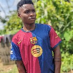 user3690533