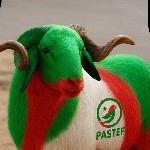 PACO