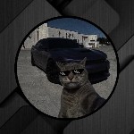 user3538507