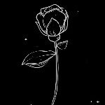 user3856161