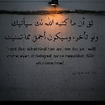 user3901530