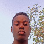 DG staylens