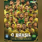 04882453541